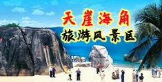 胖操逼视频海南三亚-天崖海角旅游风景区